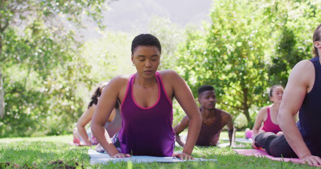 Diverse Group Practicing Yoga Outdoors in Peaceful Lush Garden - Download Free Stock Images Pikwizard.com