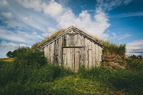 Turf-roofed weathered wooden cabin nestling in tall grass under dramatic blue sky