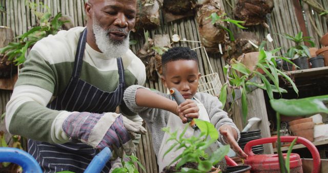 Senior Man Gardening with Grandson in Greenhouse - Download Free Stock Images Pikwizard.com