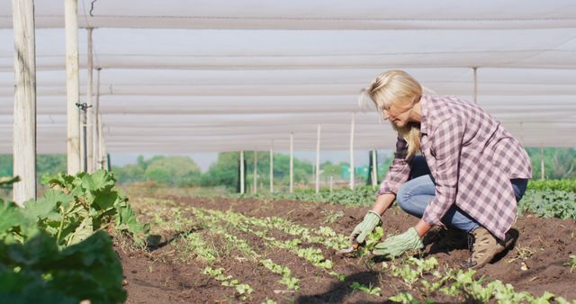 Image of caucasian woman planting seedlings in greenhouse. modern organic farm, agriculture business and technology concept.