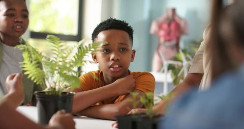 Students exploring plant growth during hands-on classroom science activity