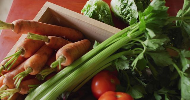 Fresh Organic Vegetables Including Carrots and Celery on Wooden Table - Download Free Stock Images Pikwizard.com