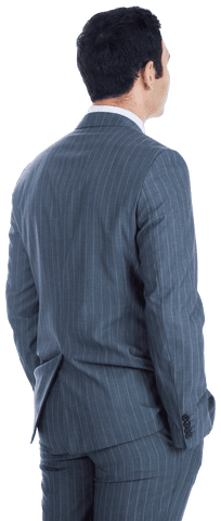 Rear View of Asian Businessman in Gray Pinstripe Suit on Transparent Background - Download Free Stock Videos Pikwizard.com