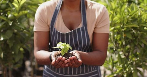 African American Woman Holding Seedling at Nursery