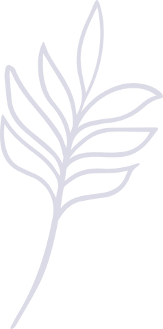 Minimalist botanical illustration of plant leaf branch, transparent background