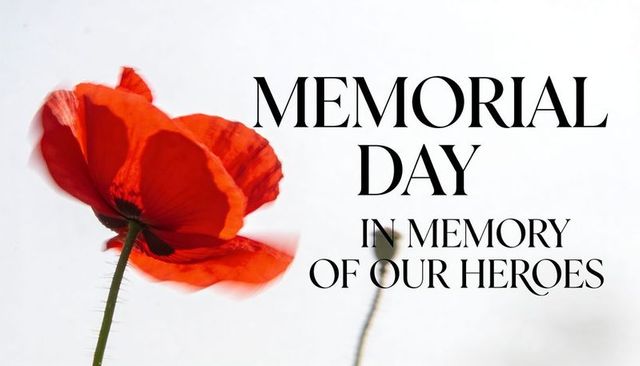 Red poppy memorial day tribute poster with minimalist white background and copy space