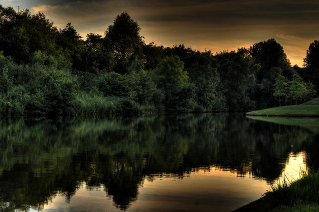 Serene Riverbank at Sunset with Reflective Water and Trees - Download Free Stock Photos Pikwizard.com