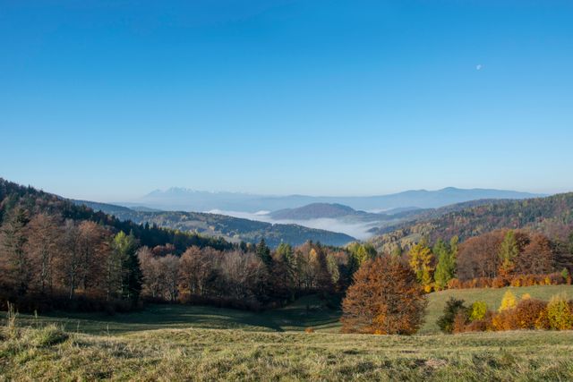 Photo captures a picturesque autumn landscape featuring rolling hills and forested areas with colorful foliage and clear sky. This serene nature scene with distant mountains under a blue sky is ideal for travel brochures, nature calendars, environmental campaigns, and backgrounds for quotes about tranquility and the beauty of nature.