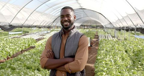 Confident african descent farmer posing in vibrant hydroponic farm