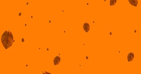 Falling autumn leaves on vibrant orange background