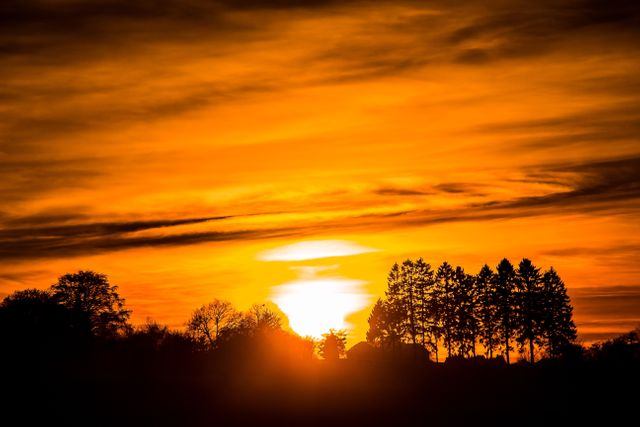 Stunning Sunset Over Forest Silhouette with Fiery Sky - Download Free Stock Photos Pikwizard.com