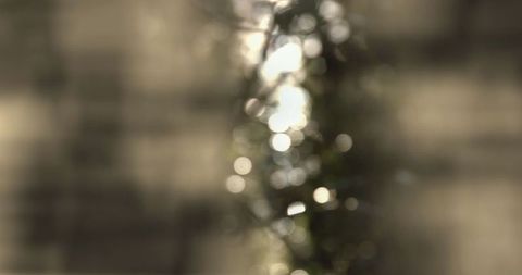 Abstract Glowing Bokeh with Beige and Green Tones