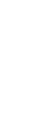 Transparent Silhouette Rugby Player Throwing Ball Side View