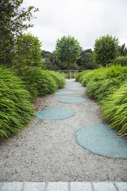 This image of a serene garden path with stepping stones is ideal for use in landscaping websites, garden design brochures, and nature-themed blogs. The lush greenery and tranquil setting make it perfect for promoting outdoor relaxation spaces and parks.