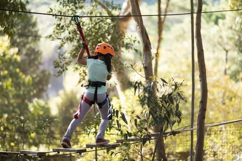 Child Navigating Ropes Course in Forest Adventure Park