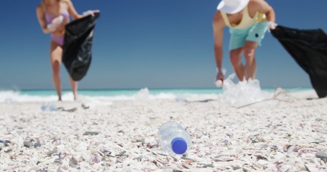 Volunteers cleaning beach collecting plastic waste and litter - Download Free Stock Images Pikwizard.com