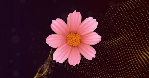 Pink daisy floating over purple abstract dotted wave background for modern digital art