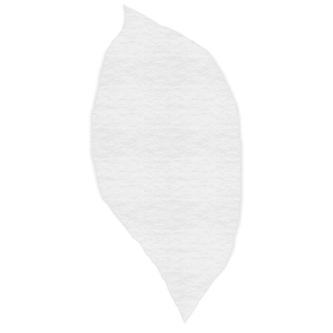 Abstract white paper shape on transparent background