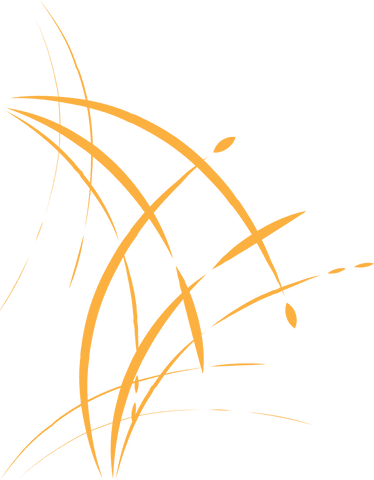 abstract orange lines crisscrossing on transparent background - Download Free Stock Videos Pikwizard.com