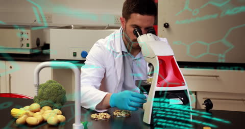 Scientist Analyzing Food Samples with Advanced Technology