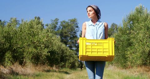 Young Woman Carrying Crate in Orchard