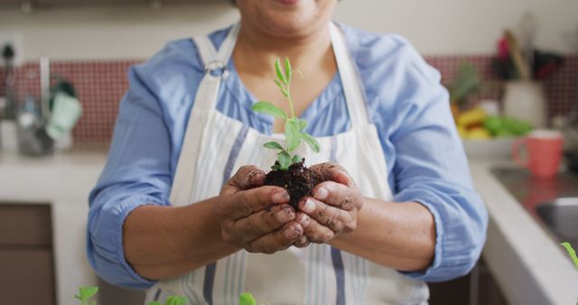 Mid section of asian senior woman holding a plant sampling at home - Download Free Stock Photos Pikwizard.com