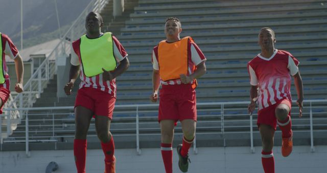 Soccer Team Warming Up on Field Before Match - Download Free Stock Images Pikwizard.com