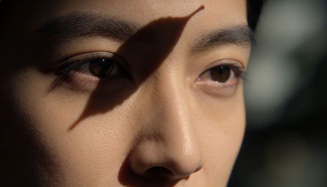 Gazing asian woman close-up showing natural skin texture with leaf shadow across face