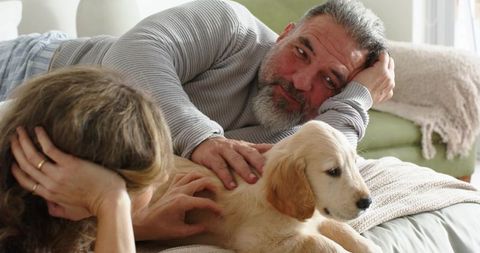 Mature couple relaxing and petting golden retriever puppy on cozy sofa at home