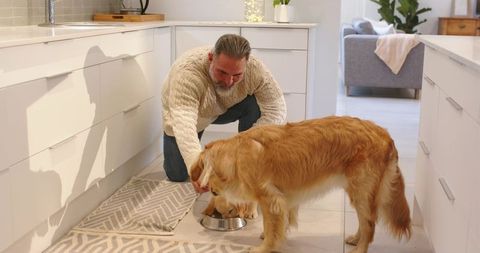 Man kneeling feeding golden retriever in bright modern kitchen warm home pet care moment