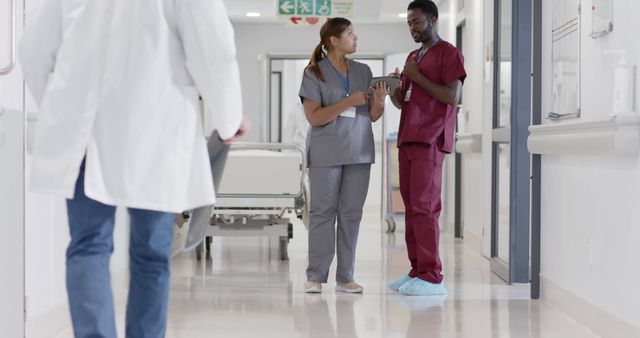 Healthcare Professionals Discussing Patient Records in Hospital Corridor - Download Free Stock Images Pikwizard.com