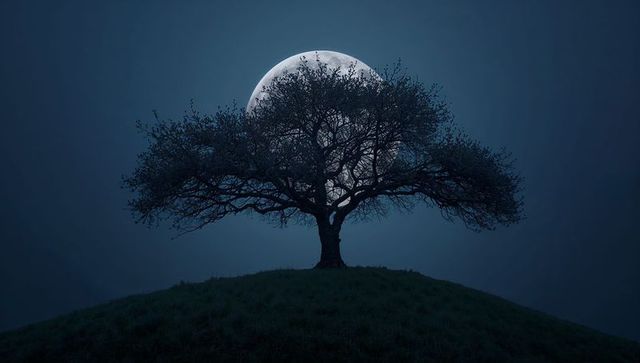 Majestic Tree Silhouette Against Glowing Full Moon