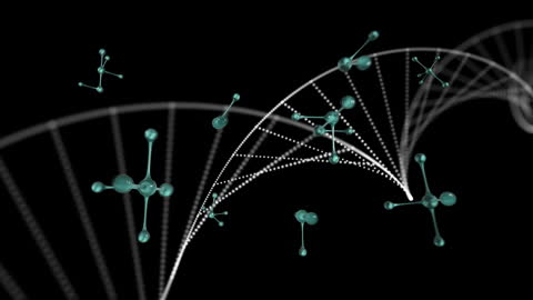 DNA Helix with Connections and Molecules