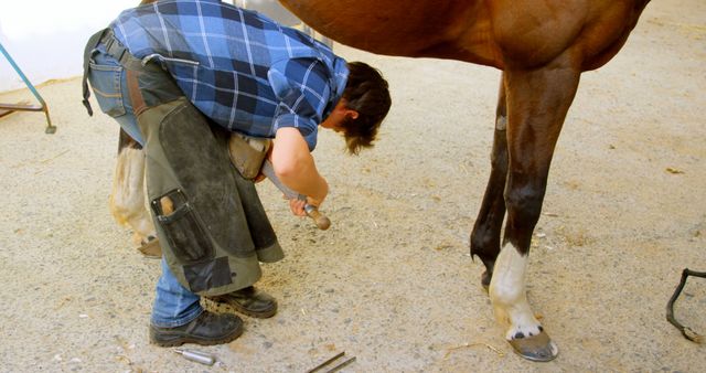 Farrier working on trimming a horse's hoof while the horse stands still. Shows skilled craftsmanship and dedication to animal care. Ideal for use in articles or ads related to horse care, farriery schools, equestrian blogs, or animal husbandry tutorials.