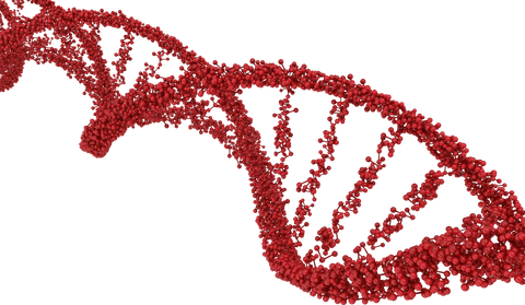transparent red dna strand for genetics research concepts - Download Free Stock Videos Pikwizard.com