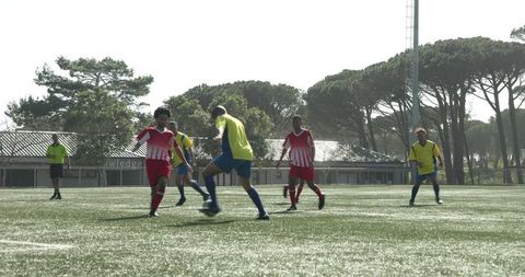 Youth Soccer Players Practicing on Beautiful Outdoor Field