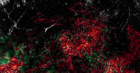 Luminous particle clusters with energetic white streaks