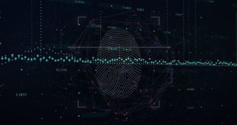 Fingerprint Biometrics with Data Analytics and Networking Visualization - Download Free Stock Images Pikwizard.com