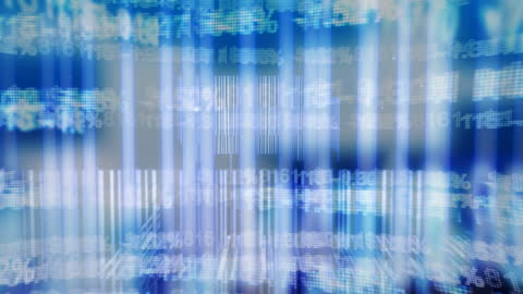 Dynamic Data Processing Digital Interface