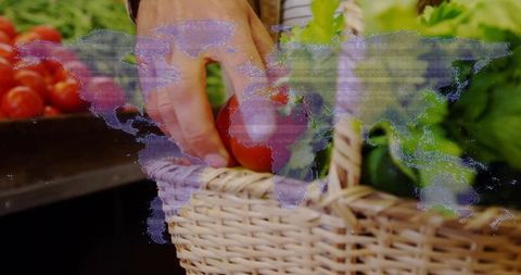 Picking fresh tomato at farmers market with wicker basket and digital world map overlay