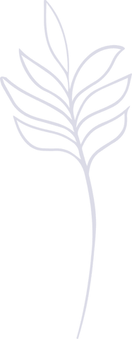 Transparent minimalistic fern leaf in line art design