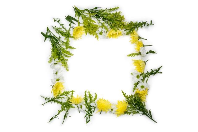 Fresh flowers arranged in a circle on white background