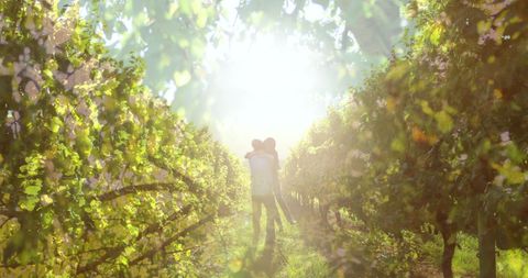 Romantic Couple Strolling Hand in Hand Through Lush Vineyard - Download Free Stock Images Pikwizard.com