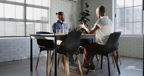 Business professionals negotiating in sunlit modern office