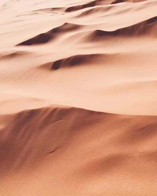 Golden sand dunes create a mesmerizing pattern in a desert landscape. Sunlight highlights the smooth curves and wind-shaped ridges. Ideal for travel advertisements, nature documentaries, tourism marketing, and background visuals for presentations focusing on arid environments or wanderlust.