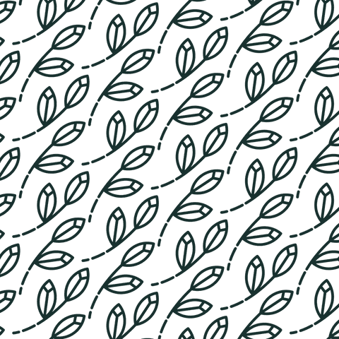 Elegant Black Leaf Pattern on Transparent Background Illustration - Download Free Stock Videos Pikwizard.com