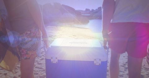 Friends carrying cooler walking on sunlit beach with lens flare and tropical shorts