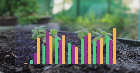 Colorful Digital Graphs Overlay Green Plants in Nature - Download Free Stock Images Pikwizard.com