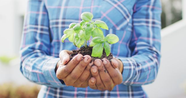 Close-up of individual wearing plaid shirt holding young green seedling in soil outdoors. Ideal for use in environmental campaigns, gardening websites, agricultural content, growth and nurturing concepts.
