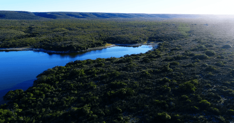 Tranquil Lake with Transparent Surface in Scenic Wilderness Landscape